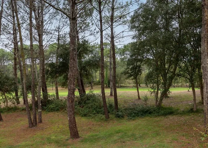 Blue Pinsolle - Appt Avec Piscine Partagee Apartmán