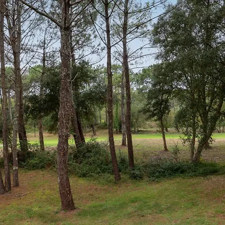 Blue Pinsolle - Appt Avec Piscine Partagée Appartamento