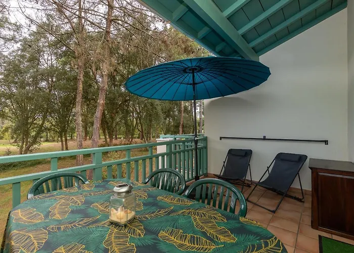 Blue Pinsolle - Appt Avec Piscine Partagee *